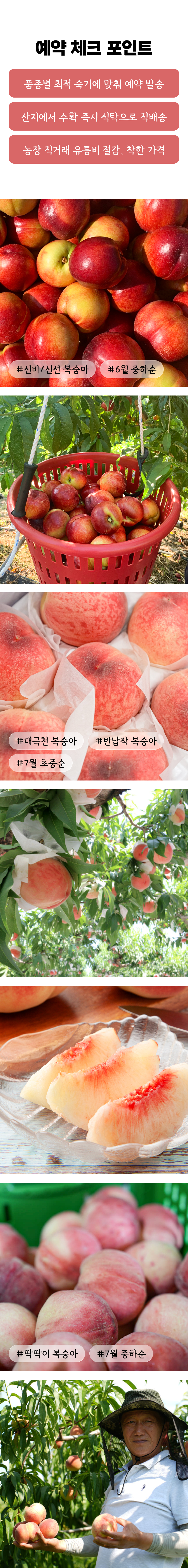 상세 4