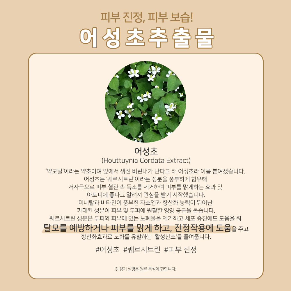 맑을담 어성초 추출물 원액 300ml 이미지 2