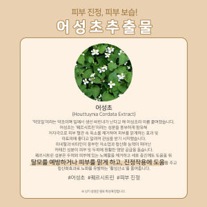 맑을담 어성초 추출물 원액 300ml 솔직 후기 | 피부 타입별 분석 - 상품 이미지 2