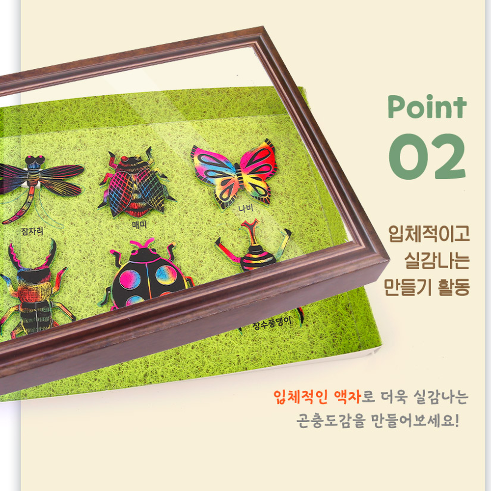 소근육발달만들기수업스크래치액자 창의체험활동초등저학년스크래치도감 쉬운만들기곤충관찰곤충도감액자 - 상세 이미지 3
