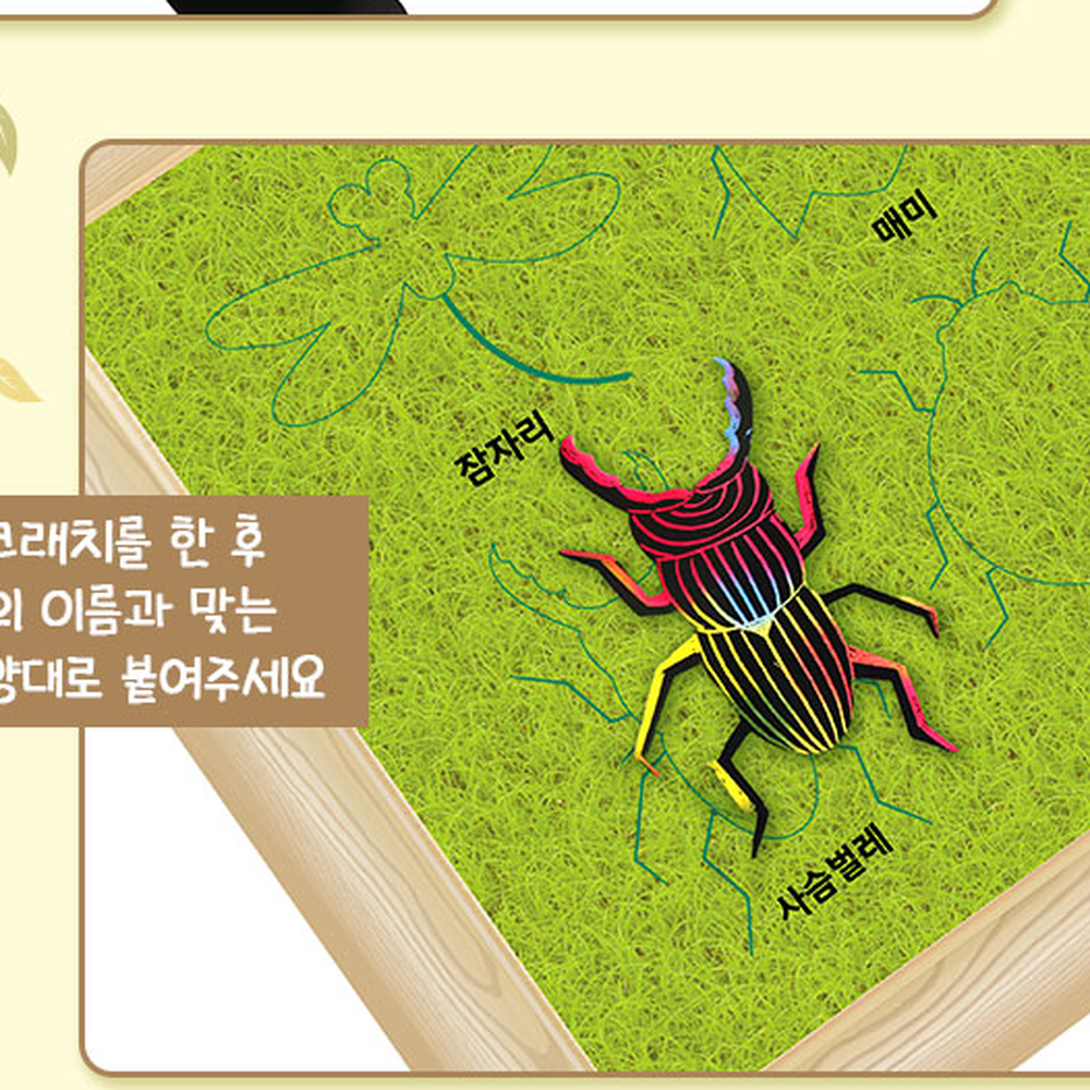 초등미술곤충도감액자 소근육발달만들기재료스크래치액자 창의미술활동초등저학년스크래치도감 - 상세 이미지 4