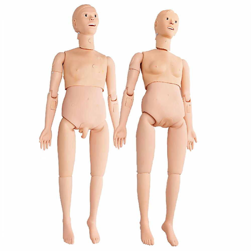 마네킹 더미 인체 교구 학교 실습용 간호 실험용 전문가용 남성 이미지 6