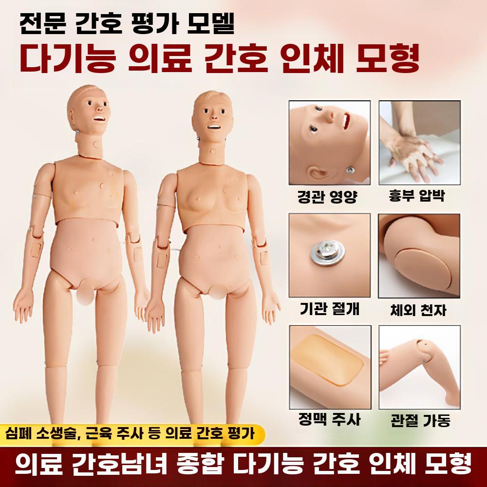 마네킹 더미 인체 교구 학교 실습용 간호 실험용 전문가용 남성 - 상세 이미지 4