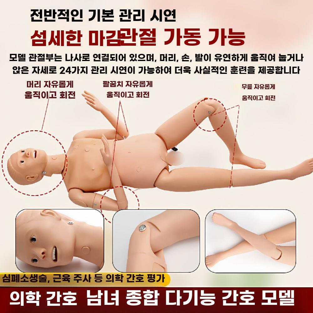 마네킹 더미 인체 교구 학교 실습용 간호 실험용 전문가용 남성 - 상세 이미지 3