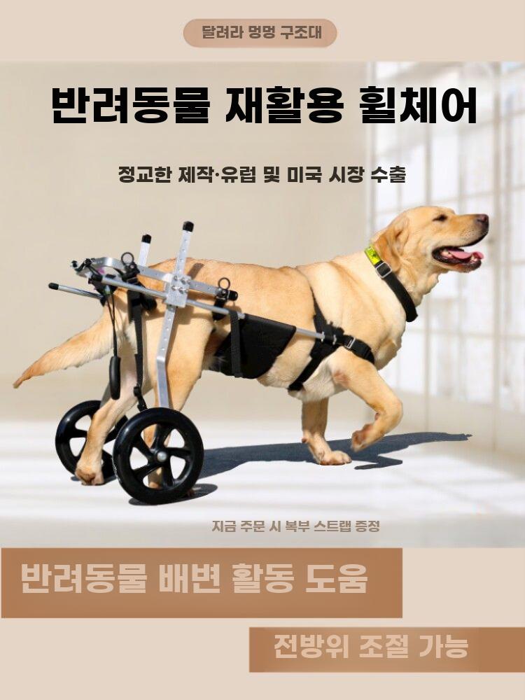 대형견 보행기 의족 뒷다리 노견 바퀴 리트리버 산책 L - 상세 이미지 2