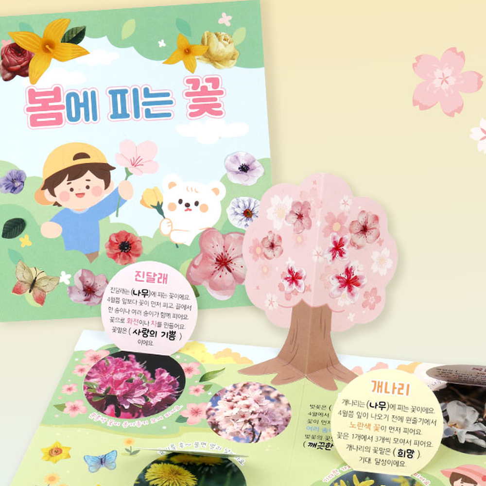초등저학년계절학습입체북아트 방과후미술꽃탐색활동팝업북 창의체험활동봄미술북아트 - 상세 이미지 4