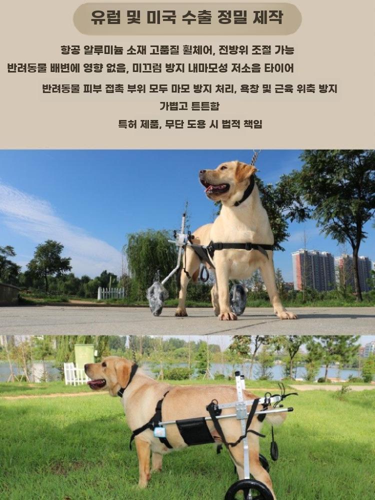 대형견 보행기 의족 뒷다리 노견 바퀴 리트리버 산책 L - 상세 이미지 3