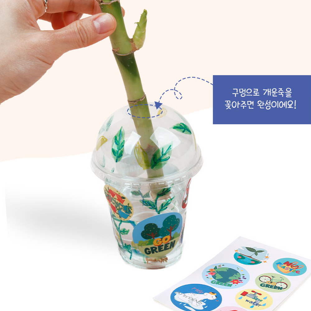 초등미술개운죽재배키트 쉬운재배자연관찰식물키우기 지구사랑초등저학년키우기 20cm개운죽 - 상세 이미지 4
