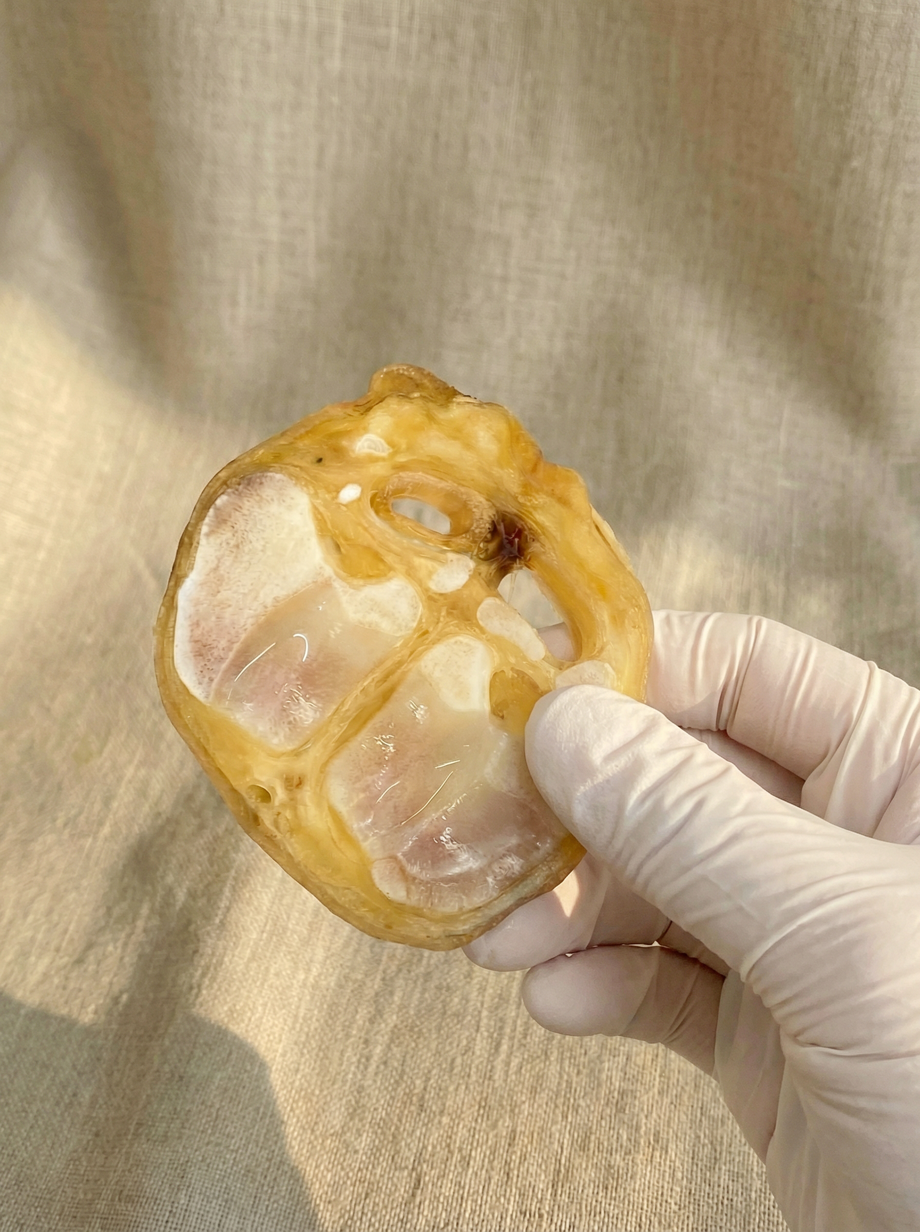 오래먹는 국내산 간식 강아지 우족 슬라이스 100g - 상품 이미지