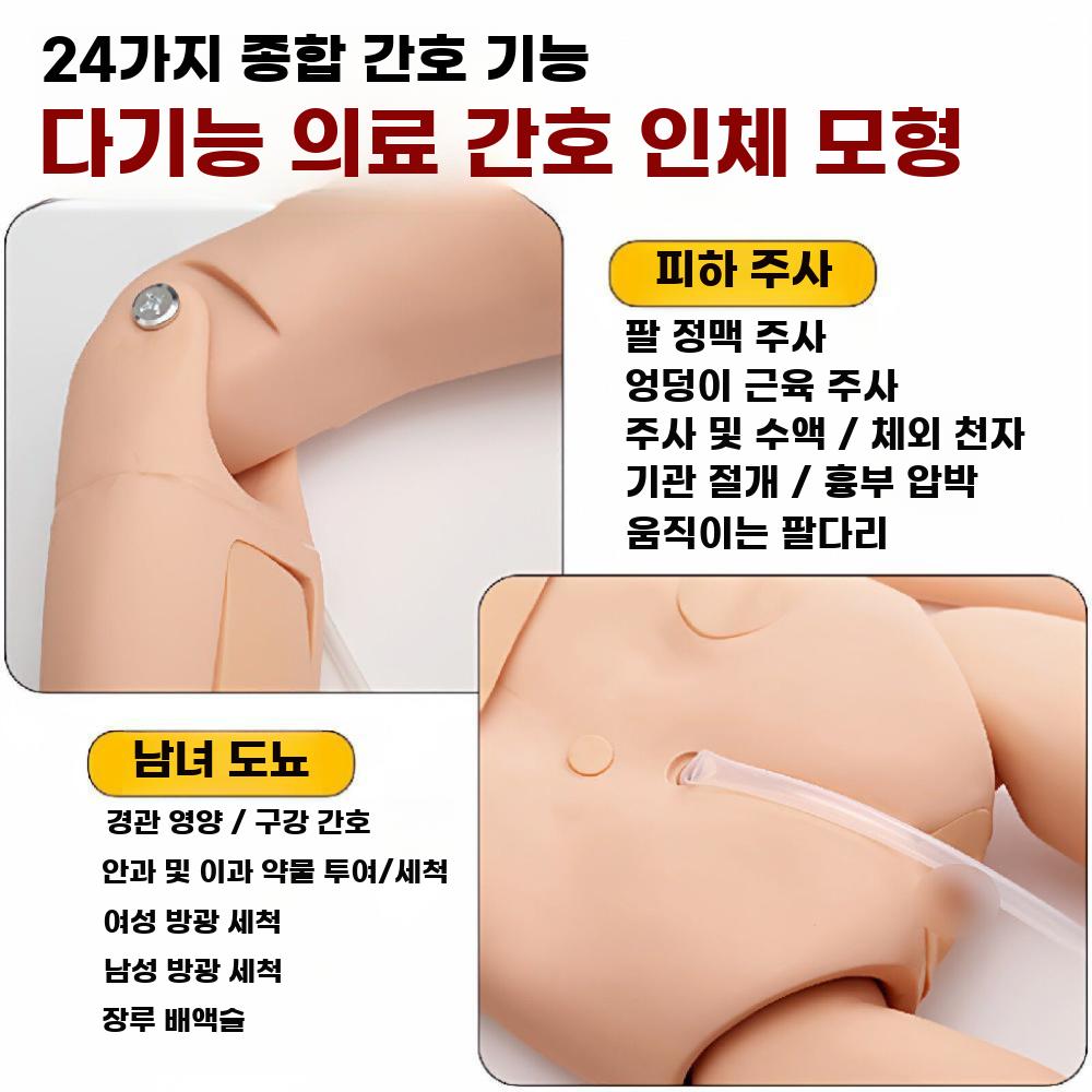 마네킹 더미 인체 교구 학교 실습용 간호 실험용 전문가용 남성 - 상세 이미지 5