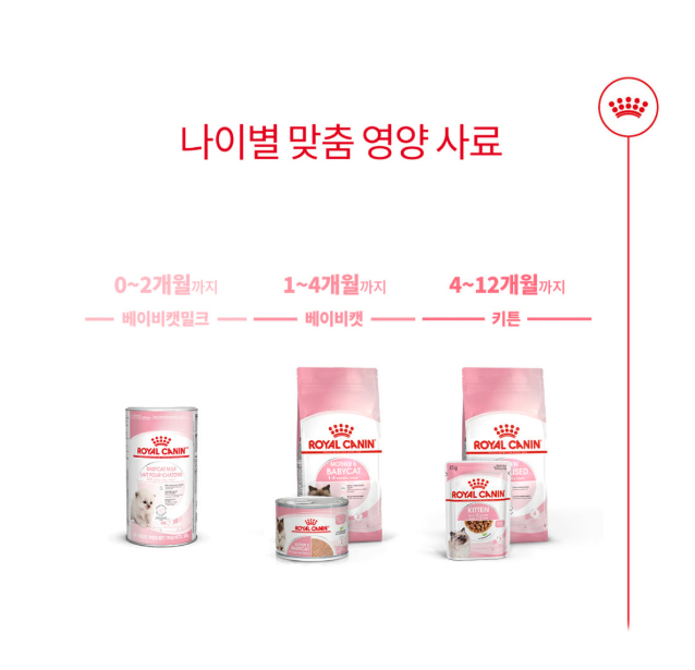 로얄캐닌 마더앤베이비 캣 습식사료 트레이 195g 고양이 습식 이미지 8