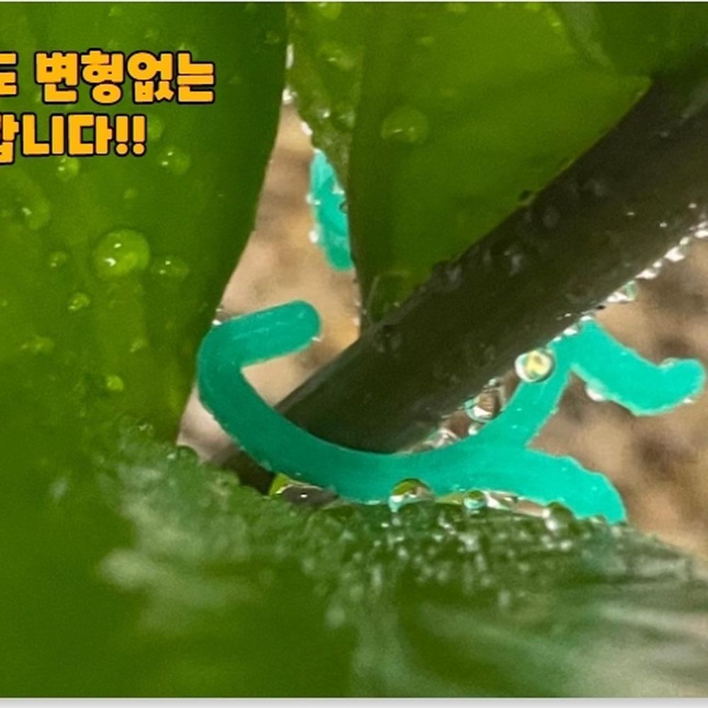 나비디자인 작은꽃대정리클립 실내소형화분식물정리클립 소형 20P - 상세 이미지 5