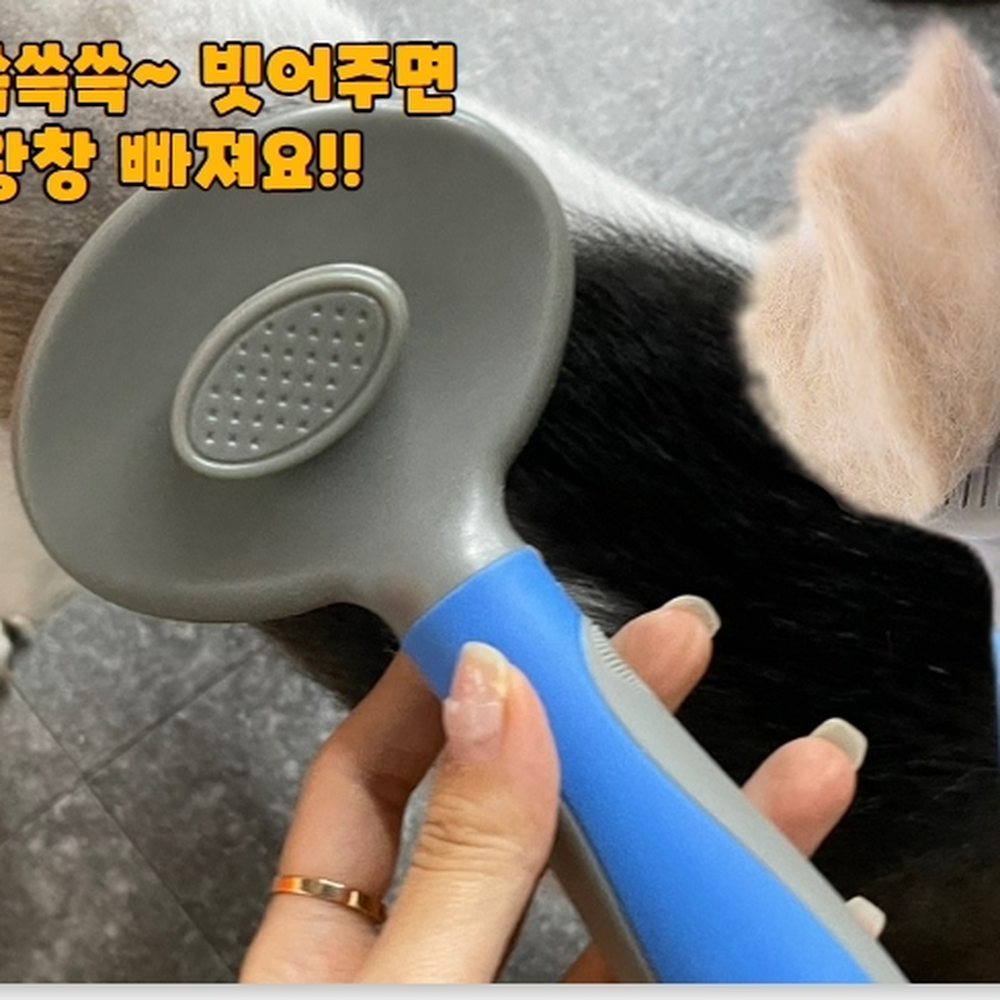 원터치제거 죽은털제거슬리커브러쉬 엉킨털정리브러쉬 블루 - 상세 이미지 3
