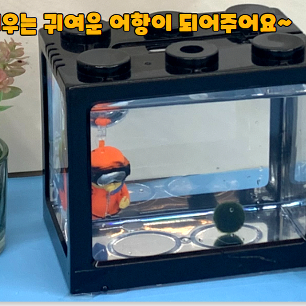 미니사이즈 인테리어소품미니어항 힐링스트레스완화미니어항 블랙 - 상세 이미지 2
