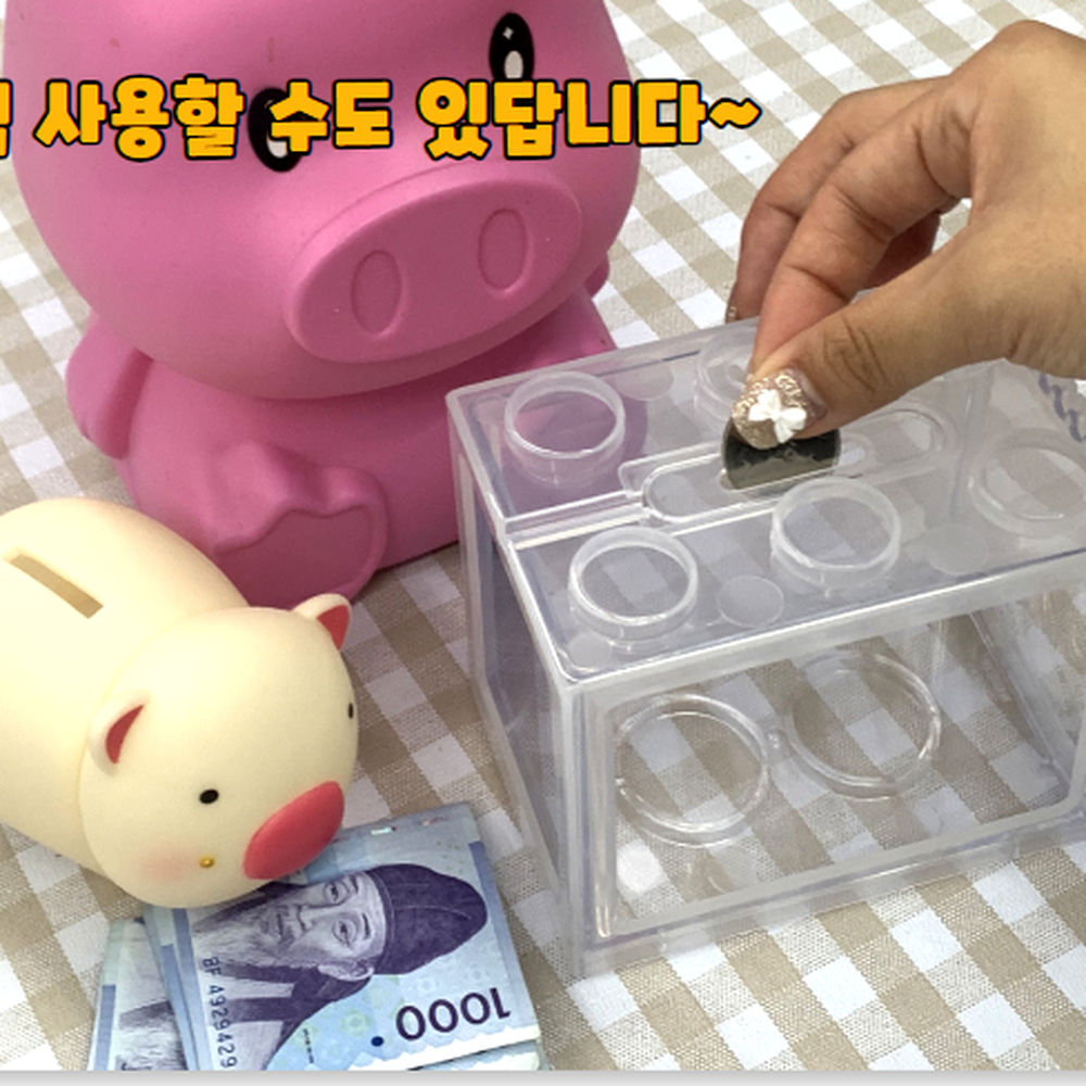 통체분리 작은공간데코미니어항 반려식물대체미니어항 투명 - 상세 이미지 4