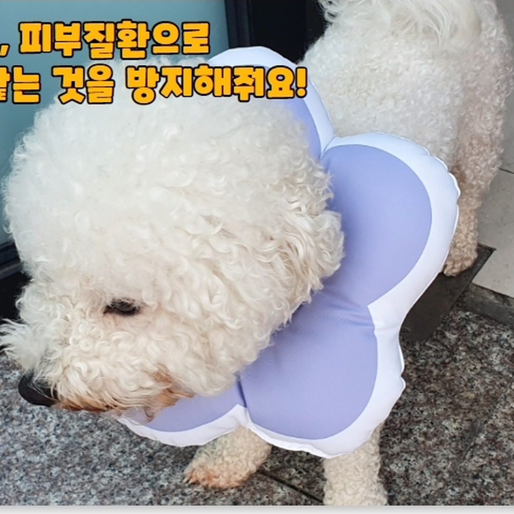 푹신한쿠션 스트레스완화쿠션 강아지눈귀질환치료용넥카라 퍼플 S - 상세 이미지 2