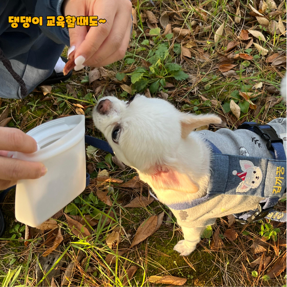 자석여닫이 강아지산책외출간식휴대가방 반려견훈련보상간식보관트릿백 실리콘 - 상세 이미지 3