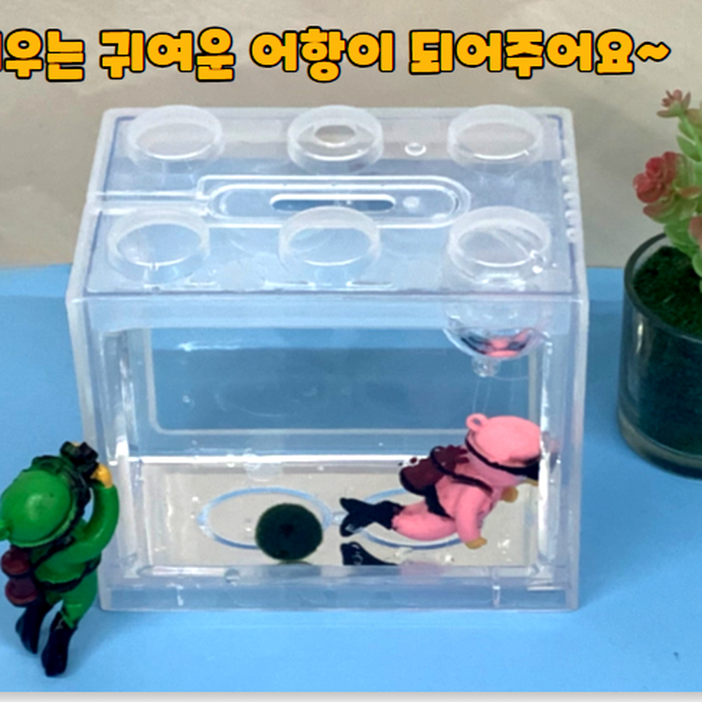 통체분리 작은공간데코미니어항 반려식물대체미니어항 투명 - 상세 이미지 2