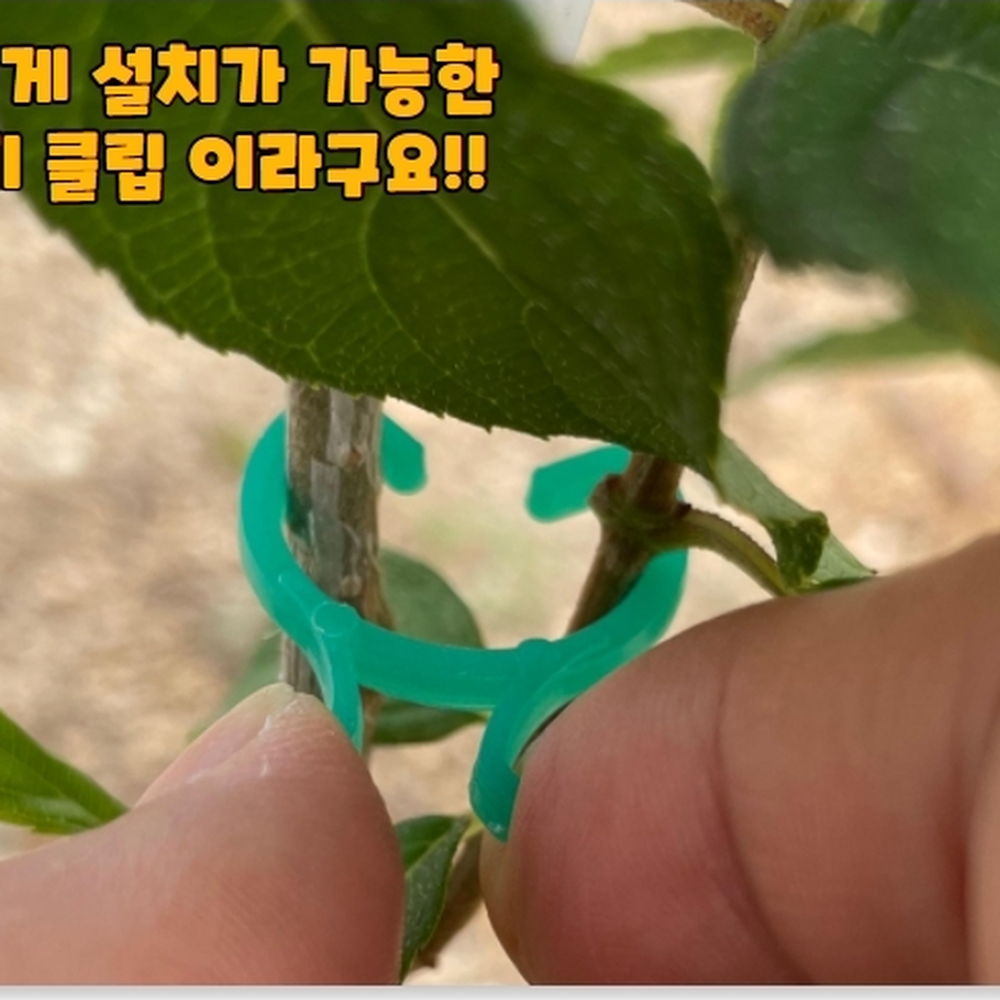 나비디자인 작은꽃대정리클립 실내소형화분식물정리클립 소형 20P - 상세 이미지 3