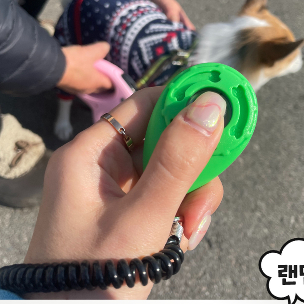 원터치딸깍이 강아지훈련용딸깍이 배변훈련클리커 랜덤색상 - 상세 이미지 3
