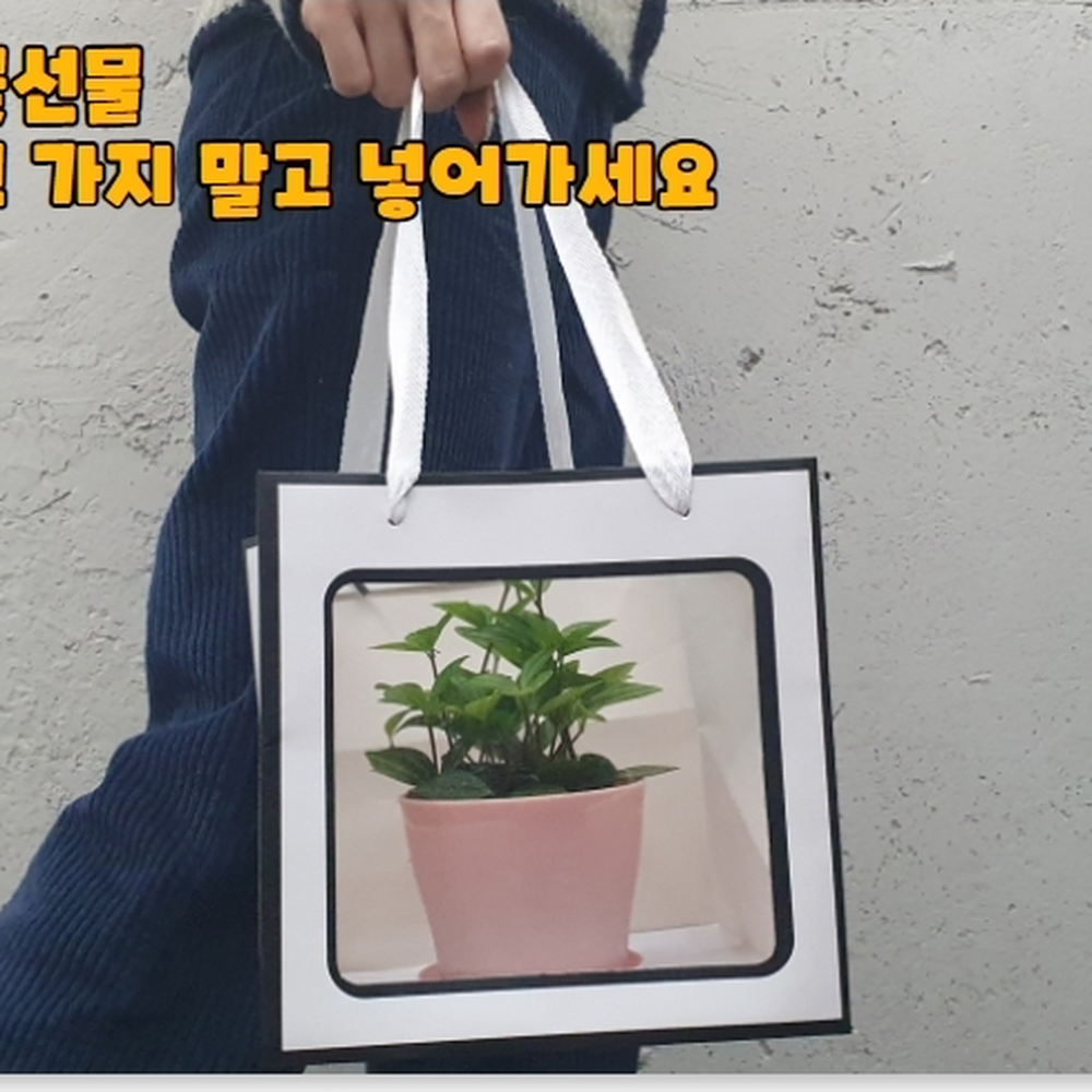 앞면투명창 웨딩답례품쇼핑백 향수포장용 종이가방 소 - 상세 이미지 5