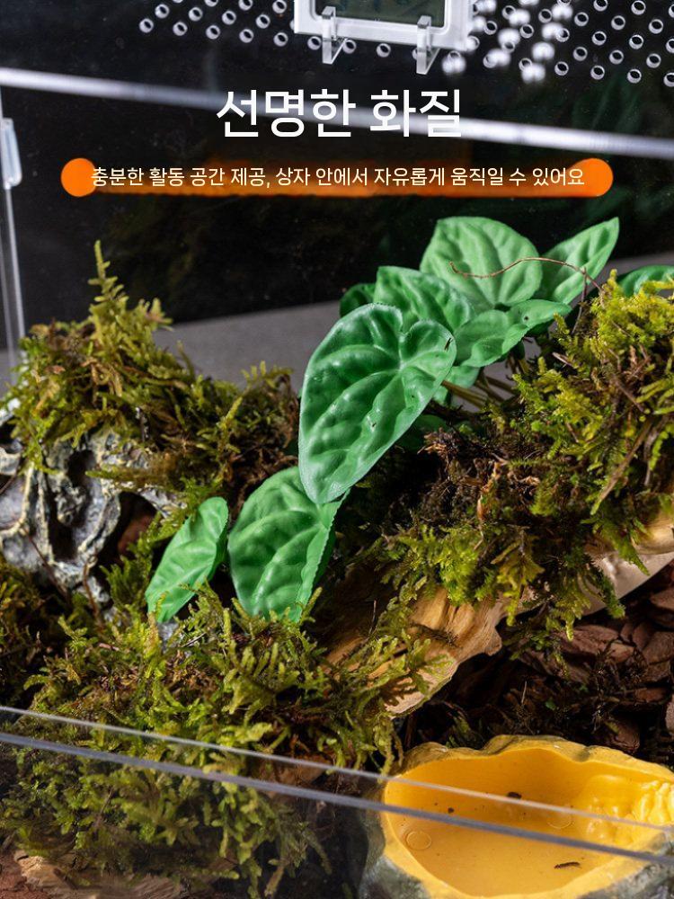 곤충 사육장 케이지 아크릴 투명 사슴벌레 파충류 사육 - 상세 이미지 4