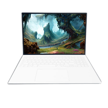 LG그램 16ZD90T-GX56K (SSD2TB교체) 사은 제공 NT