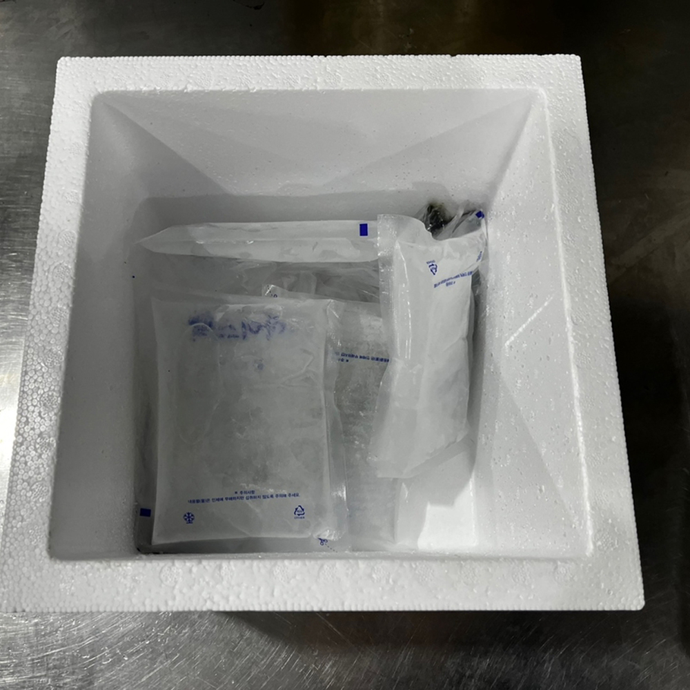 2026 급냉 독도 참고등어 1kg 3~5미 국내산 고등어 산지직송 담백한 제철 생선 - 상세 이미지 5