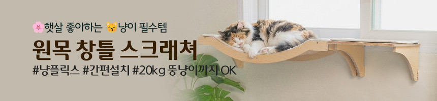 퓨어비타 캣 고양이 반려묘 사료 그레인프리 연어+완두콩, 1.81kg, 1개 - 상세 이미지 3