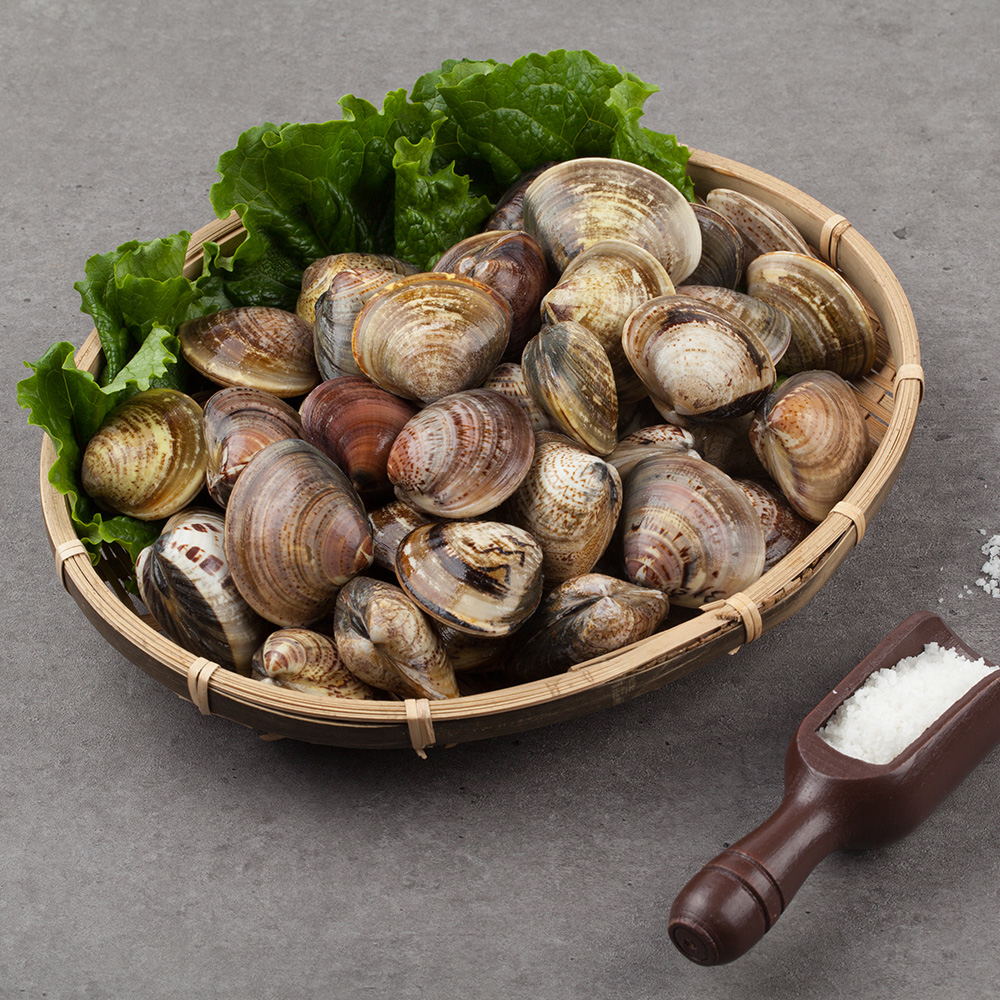 남해안 생 바지락 1kg, 1개 - 상품 이미지