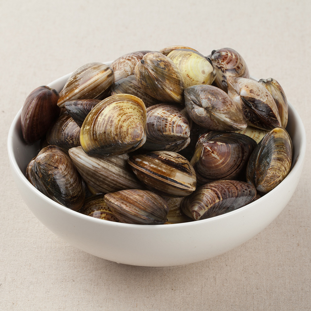 남해안 생 바지락 1kg, 1개 - 상세 이미지 2