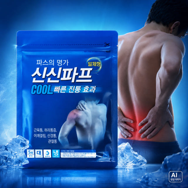 신신파스 쿨 신신파프 붙이는파스 외용 진통 근육통 아렉스 공효진 소염제