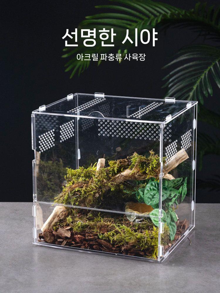 곤충 사육장 케이지 아크릴 투명 사슴벌레 파충류 사육 - 상세 이미지 3
