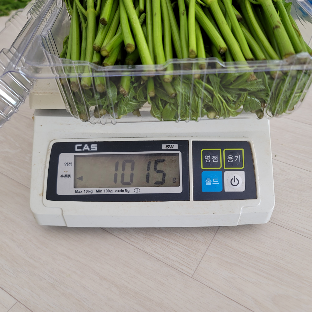 [당일새벽수확] 2026년 국내산 자연산 가시없는 여름두릅 참두릅 1KG 이미지 8
