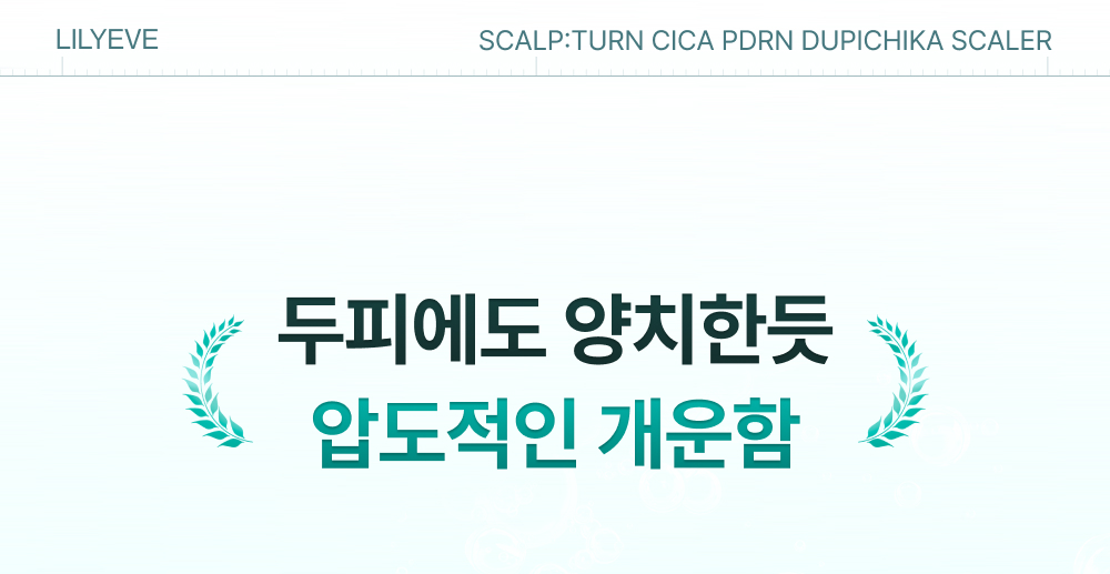 LILYEVE Scalpturn Cica PDRN Scalp Scaler - description 5