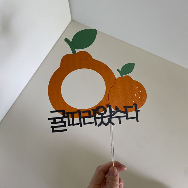 제주 태교 여행 폴라로이드 토퍼 - 상품 이미지
