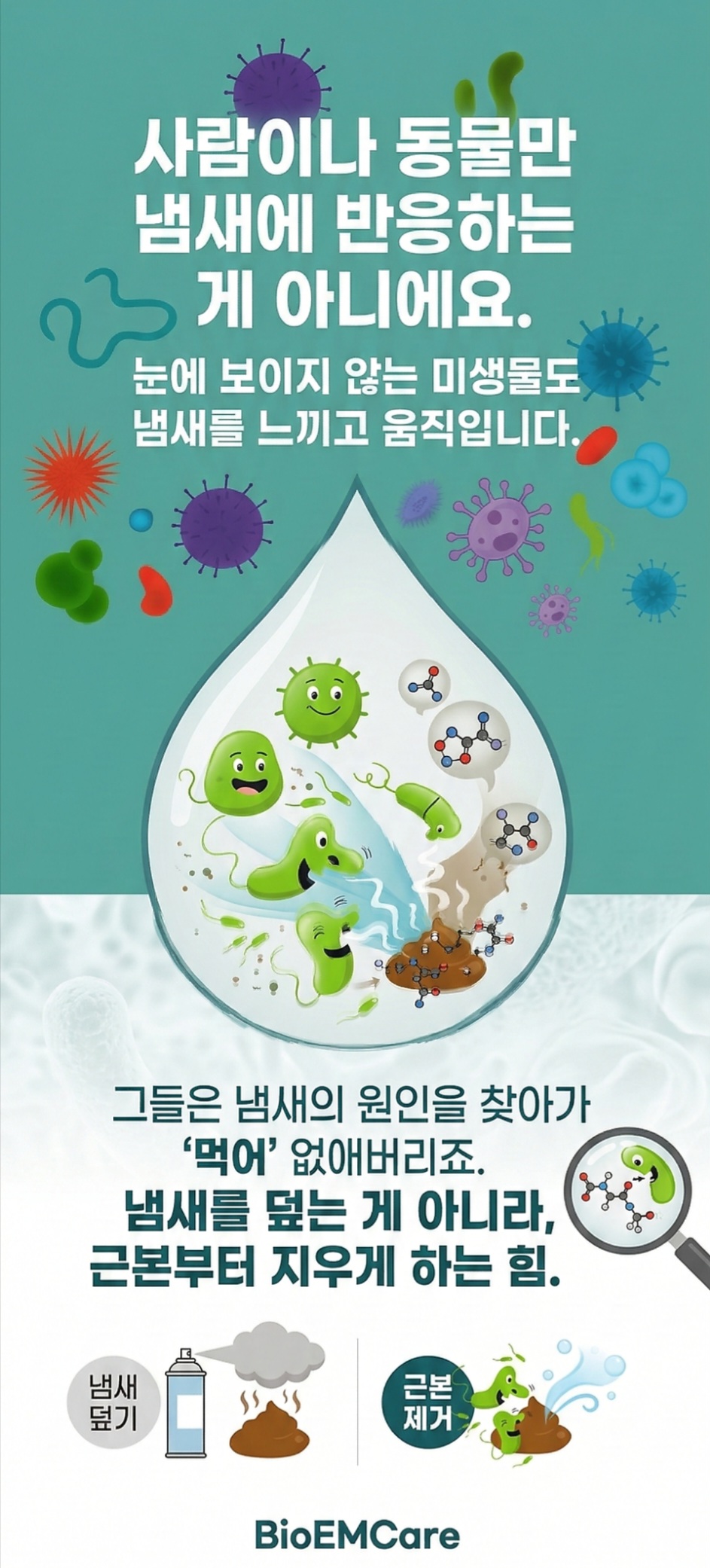 바이오이엠케어 EM(미생물)편백탈취제 500ml2개 애완동물 화장실 새집증후군 옴 진드기 - 상세 이미지 4