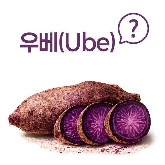 우베 파우더 100% 우베분말 가루 200g 이미지 7