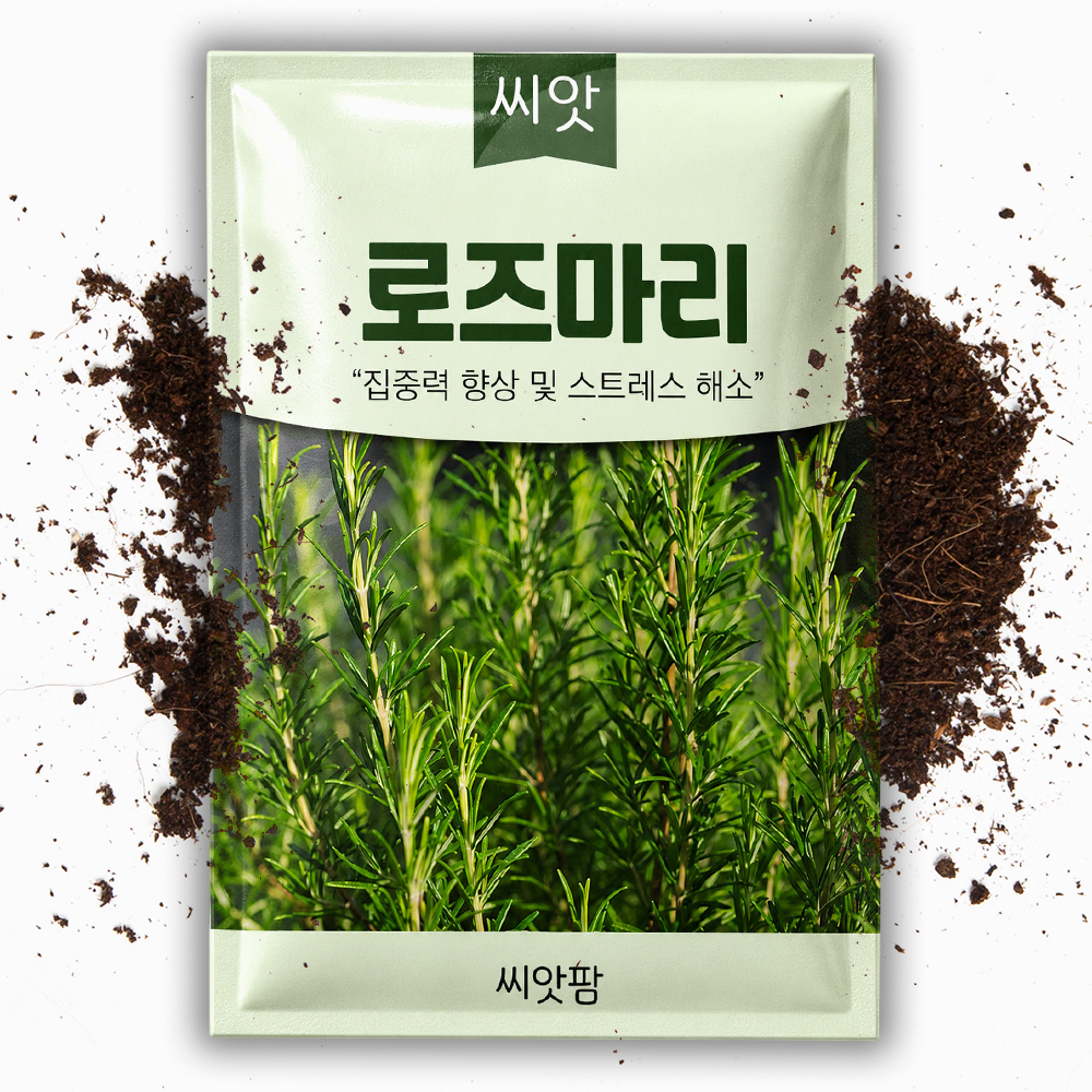 로즈마리 씨앗 30립 허브 종자 씨 - 상품 이미지