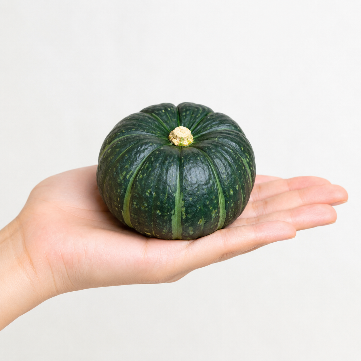 제주단호박 미니단호박 밤호박 보우짱 고급 로얄과 산지직송 10kg, 1개 - 상품 이미지