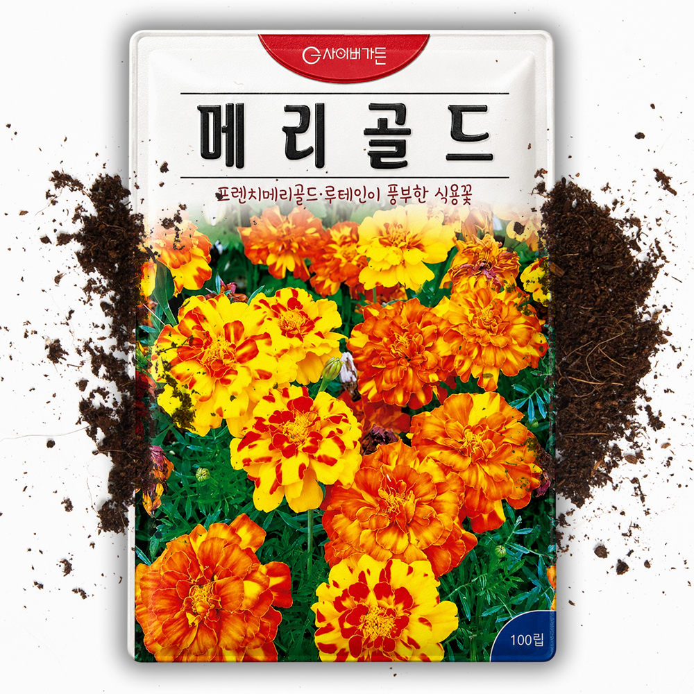 꽃씨앗 프렌치 메리골드 100립 S 일년생 꽃 씨 종자 - 상품 이미지