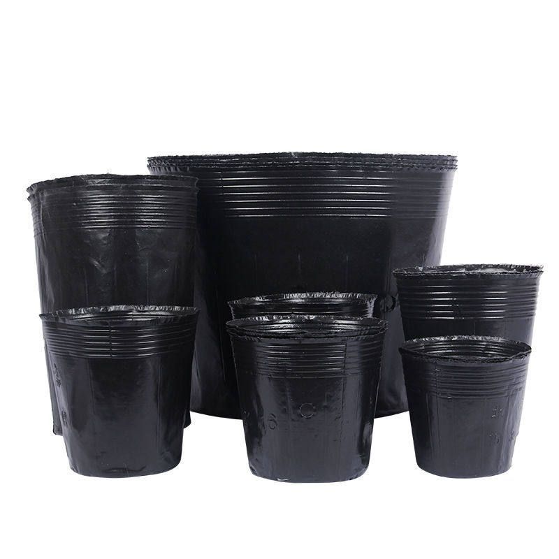 비닐 화분 모종 포트 일회용 컵 원형 분갈이 텃밭 11x11cm 100개 - 상품 이미지