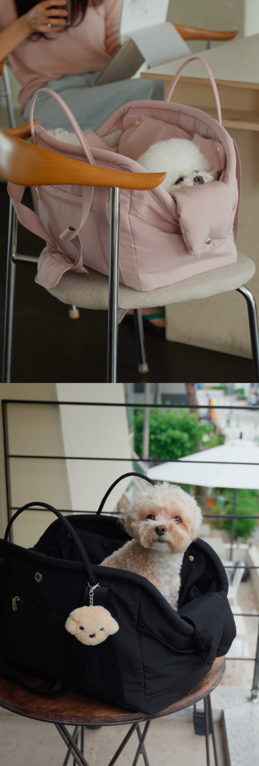 베이글 코지백 쿠션가방 강아지이동가방 강아지캐리어 판매처 상세 정보 이미지 2