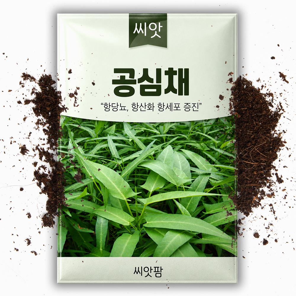 공심채씨앗 10g 공심채씨 모닝글로리 동남아 아열대 채소 이색 채소 종자 - 상품 이미지