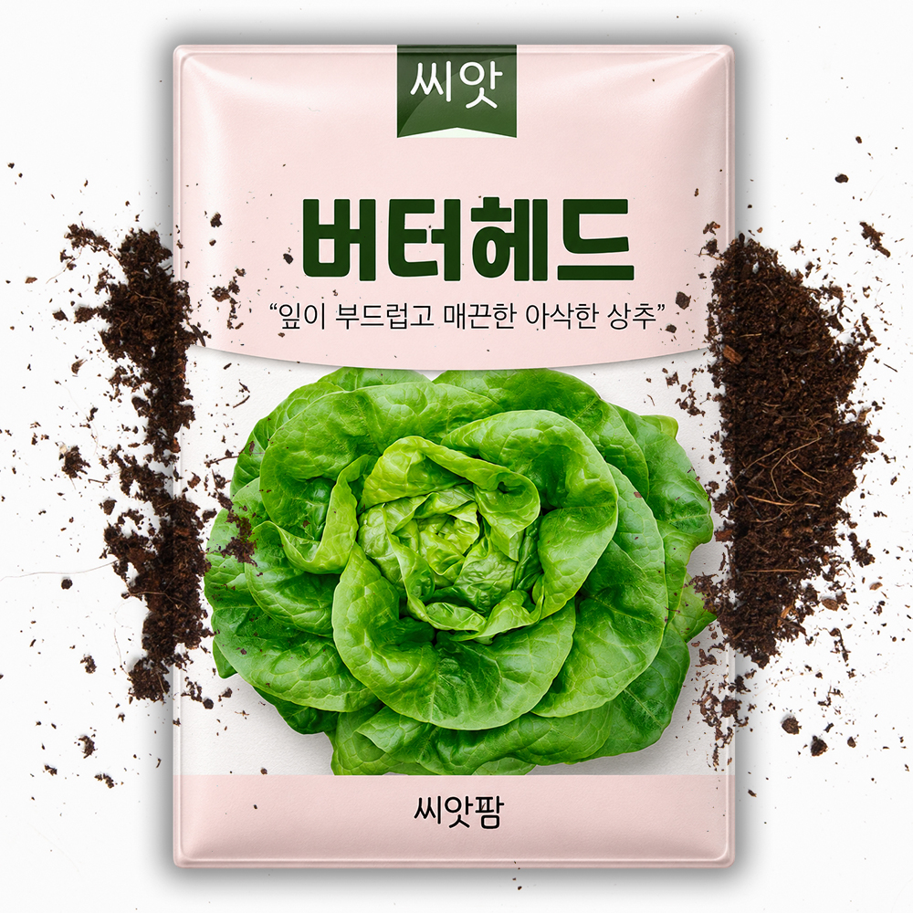 버터헤드 상추씨앗 2000립 유럽상추 보스턴 후레쉬볼 쌈채소 로메인 채소 종자 - 상품 이미지