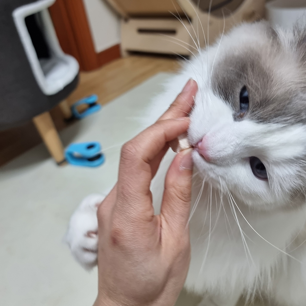 [국내산] 묘생묘미 동결건조 강아지 고양이트릿 닭가슴살 골드, 130g, 1개 이미지 6