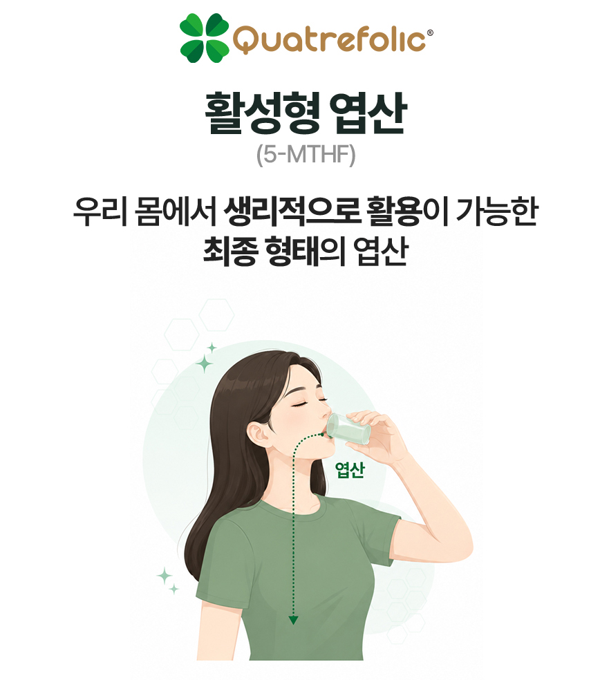 1+1 머거요 올인원 활성 엽산 800 임신준비 초기 임산부 영양제 60정 - 상세 이미지 3