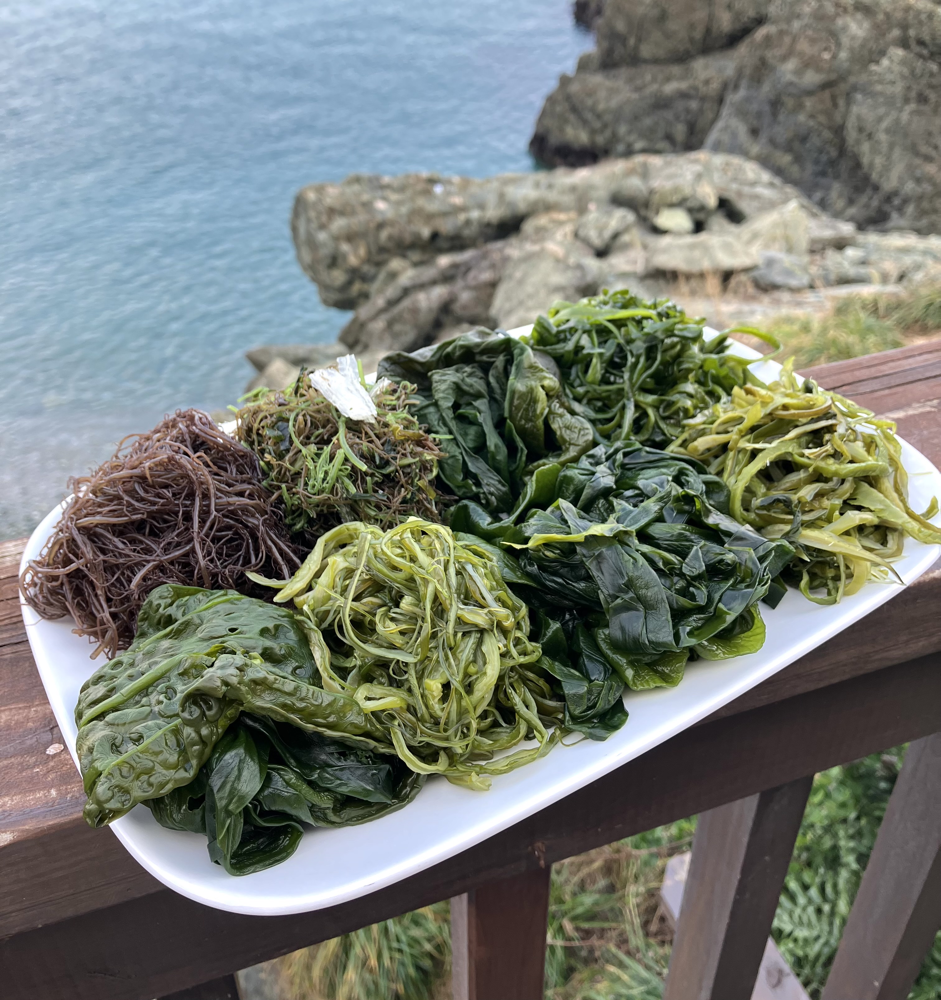 완도산 염장 미역 3kg 5kg 10kg 원산지 국산 전라남도 완도 이미지 7