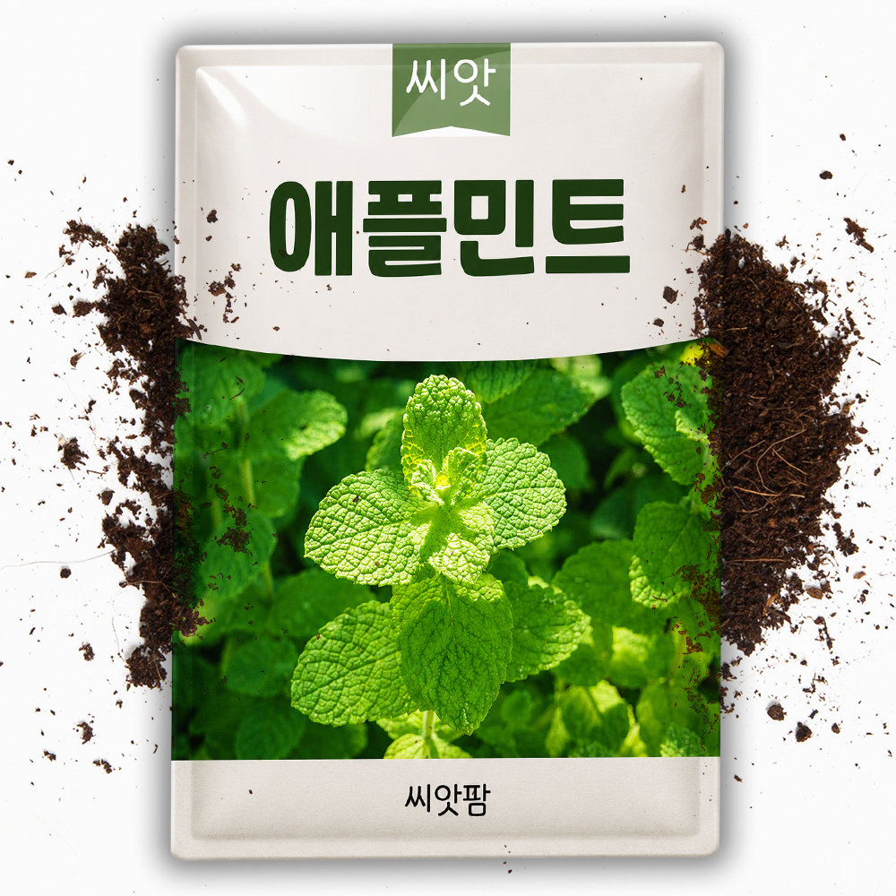 애플민트 씨앗 30립 허브 키우기 씨앗 종자 - 상품 이미지