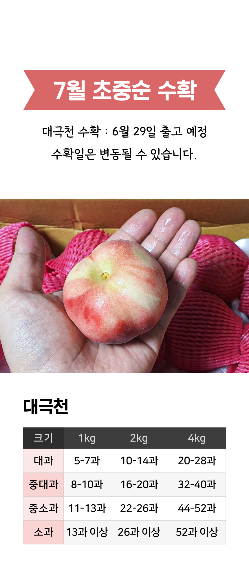 상세 5